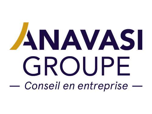 Création site internet - Anavasi Groupe