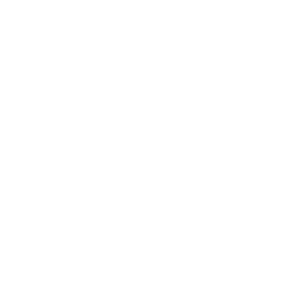 Formation et conseils WordPress